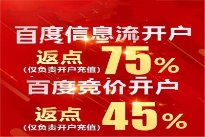 百度竞价广告的投放策略与成功案例分析